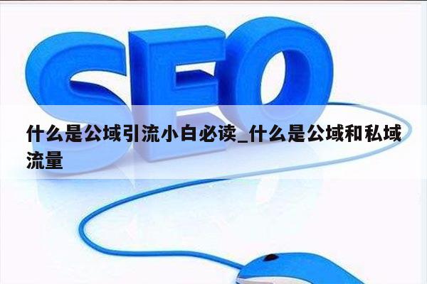 什么是公域引流小白必读_什么是公域和私域流量