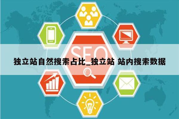 独立站自然搜索占比_独立站 站内搜索数据