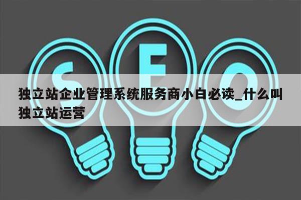 独立站企业管理系统服务商小白必读_什么叫独立站运营