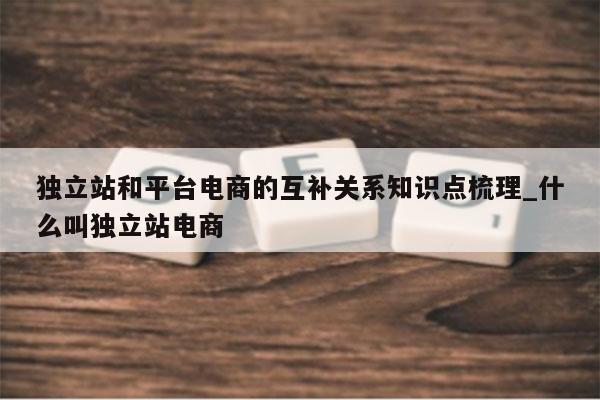 独立站和平台电商的互补关系知识点梳理_什么叫独立站电商