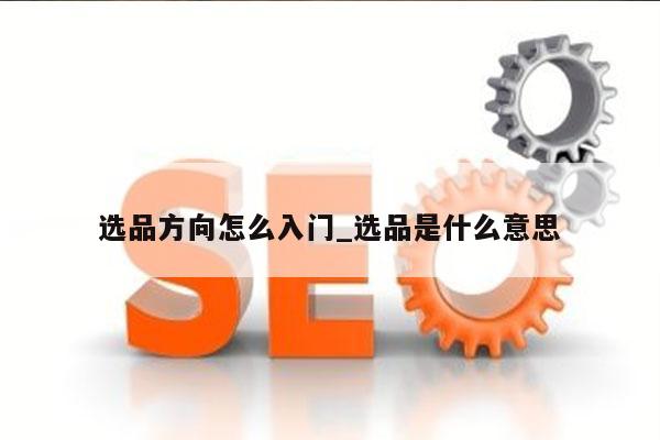 选品方向怎么入门_选品是什么意思