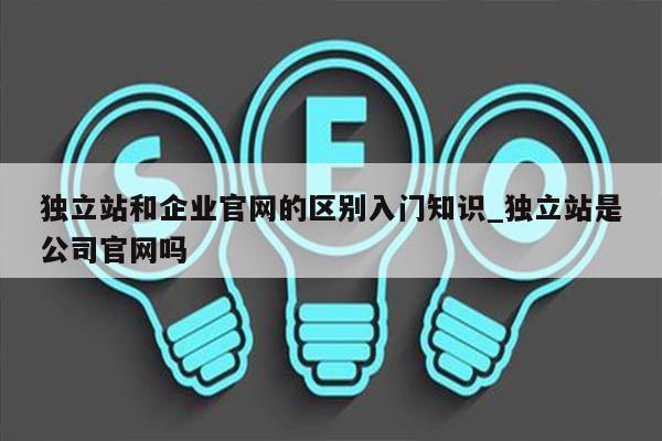 独立站和企业官网的区别入门知识_独立站是公司官网吗