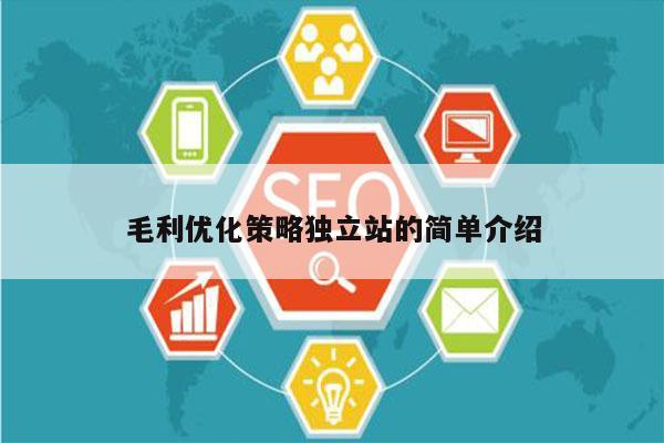 毛利优化策略独立站的简单介绍