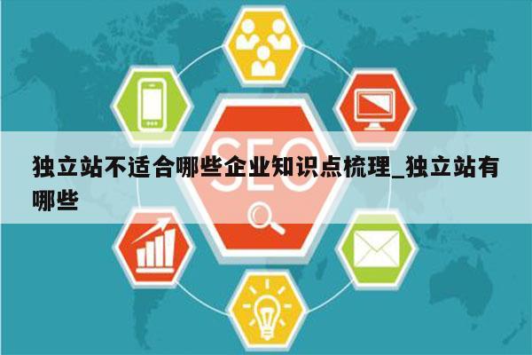 独立站不适合哪些企业知识点梳理_独立站有哪些
