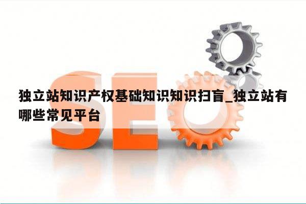 独立站知识产权基础知识知识扫盲_独立站有哪些常见平台