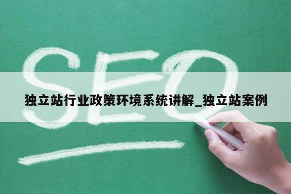 独立站行业政策环境系统讲解_独立站案例