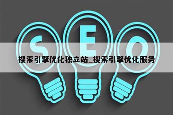搜索引擎优化独立站_搜索引擎优化服务