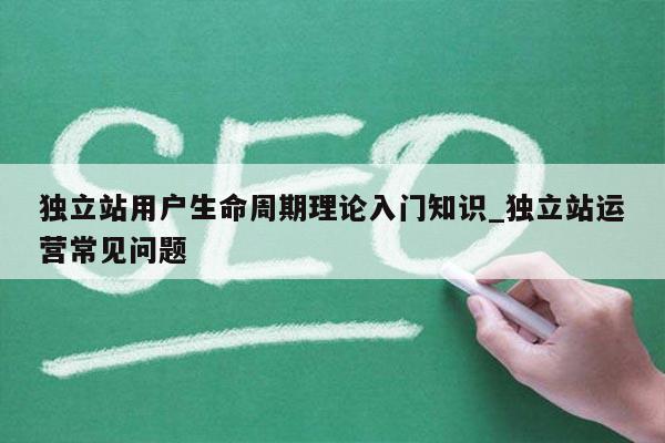 独立站用户生命周期理论入门知识_独立站运营常见问题