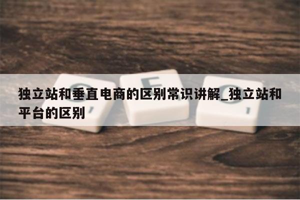 独立站和垂直电商的区别常识讲解_独立站和平台的区别
