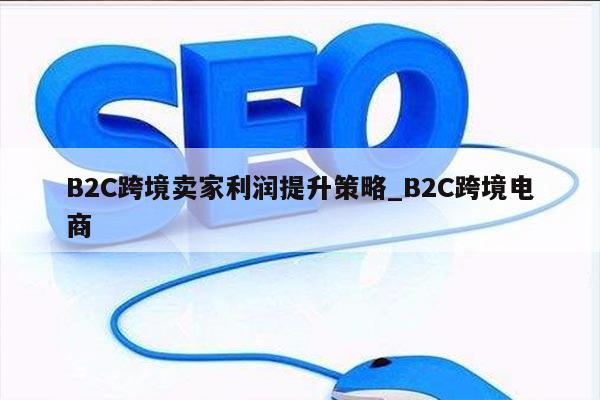 B2C跨境卖家利润提升策略_B2C跨境电商