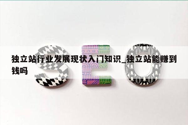 独立站行业发展现状入门知识_独立站能赚到钱吗