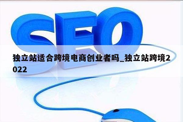 独立站适合跨境电商创业者吗_独立站跨境2022