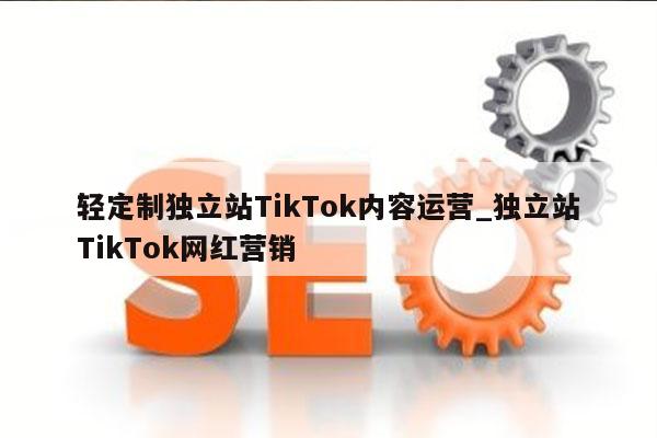 轻定制独立站TikTok内容运营_独立站TikTok网红营销