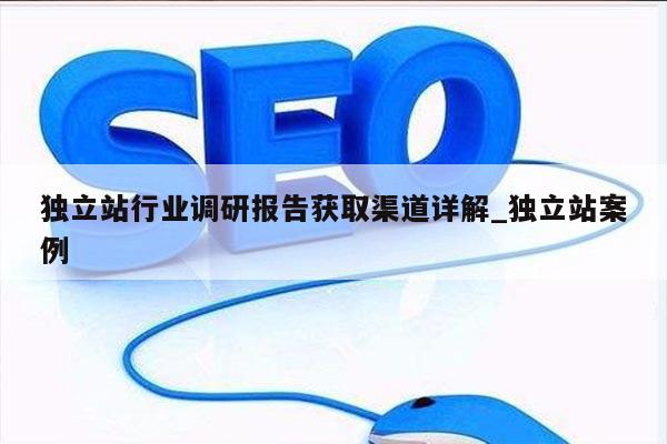 独立站行业调研报告获取渠道详解_独立站案例