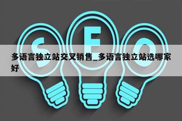 多语言独立站交叉销售_多语言独立站选哪家好