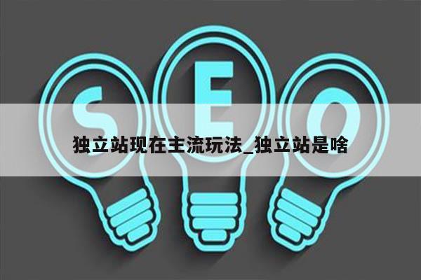 独立站现在主流玩法_独立站是啥