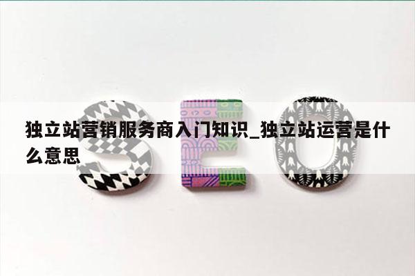 独立站营销服务商入门知识_独立站运营是什么意思