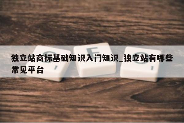 独立站商标基础知识入门知识_独立站有哪些常见平台