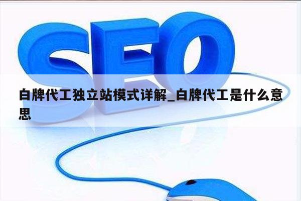 白牌代工独立站模式详解_白牌代工是什么意思