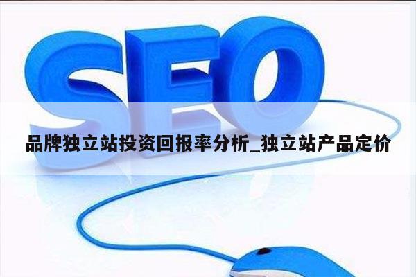 品牌独立站投资回报率分析_独立站产品定价