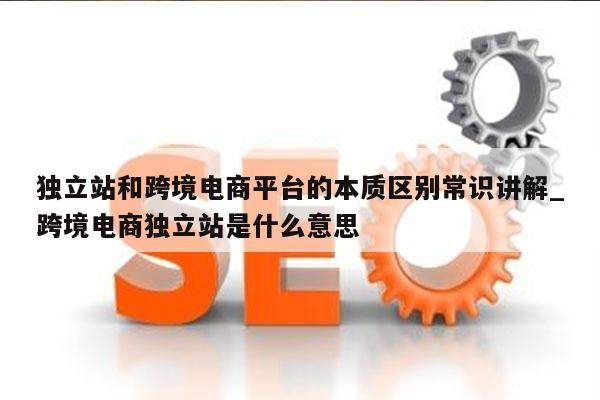 独立站和跨境电商平台的本质区别常识讲解_跨境电商独立站是什么意思