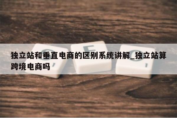 独立站和垂直电商的区别系统讲解_独立站算跨境电商吗