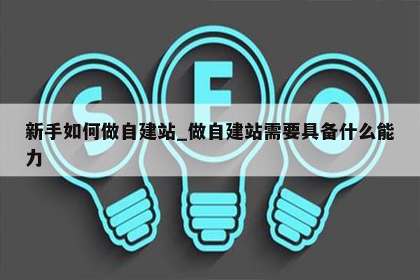 新手如何做自建站_做自建站需要具备什么能力