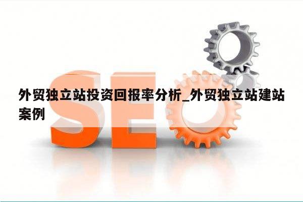 外贸独立站投资回报率分析_外贸独立站建站案例