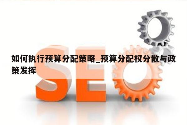 如何执行预算分配策略_预算分配权分散与政策发挥
