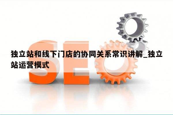 独立站和线下门店的协同关系常识讲解_独立站运营模式
