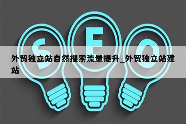 外贸独立站自然搜索流量提升_外贸独立站建站