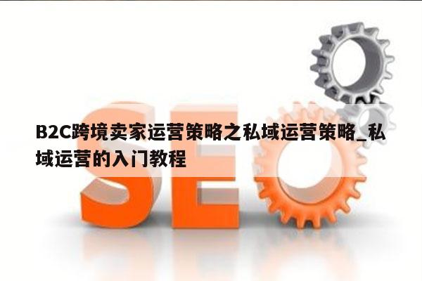 B2C跨境卖家运营策略之私域运营策略_私域运营的入门教程
