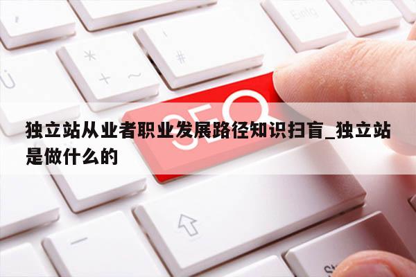 独立站从业者职业发展路径知识扫盲_独立站是做什么的