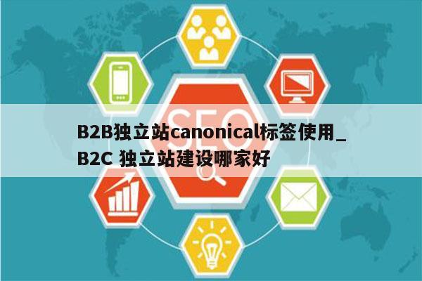B2B独立站canonical标签使用_B2C 独立站建设哪家好