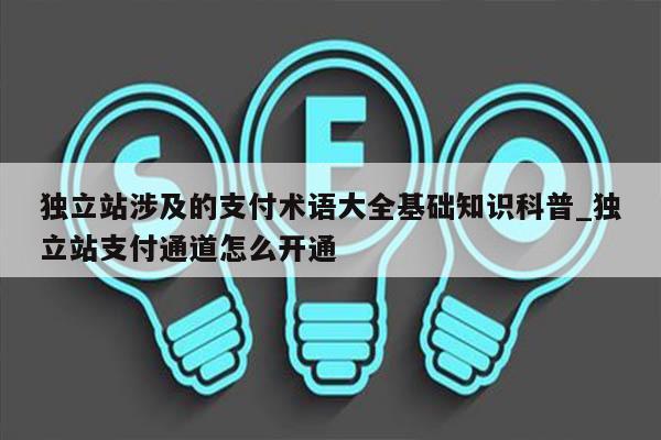 独立站涉及的支付术语大全基础知识科普_独立站支付通道怎么开通