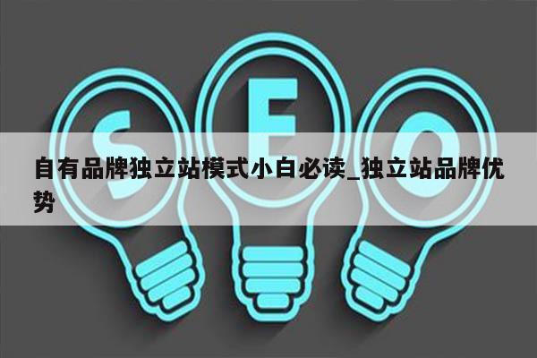 自有品牌独立站模式小白必读_独立站品牌优势
