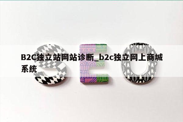B2C独立站网站诊断_b2c独立网上商城系统