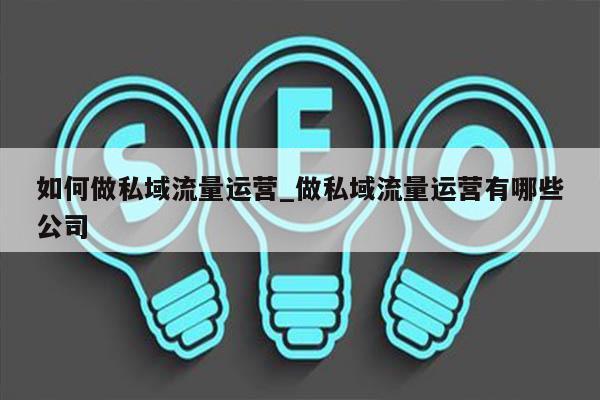 如何做私域流量运营_做私域流量运营有哪些公司