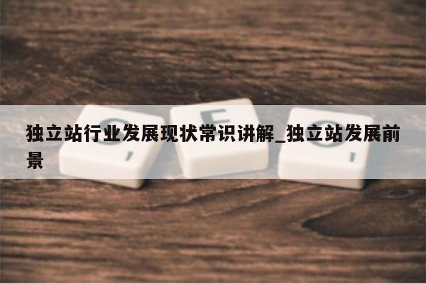 独立站行业发展现状常识讲解_独立站发展前景