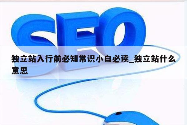 独立站入行前必知常识小白必读_独立站什么意思