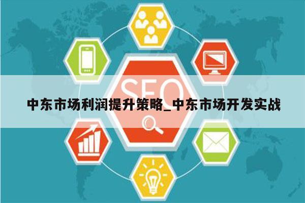 中东市场利润提升策略_中东市场开发实战