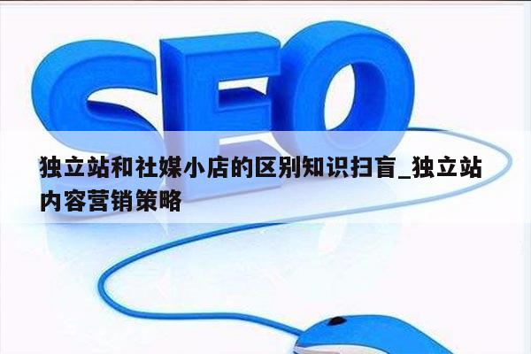 独立站和社媒小店的区别知识扫盲_独立站 内容营销策略