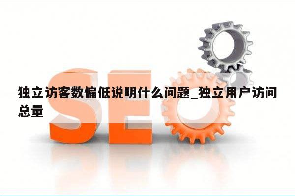 独立访客数偏低说明什么问题_独立用户访问总量