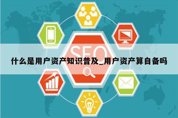 什么是用户资产知识普及_用户资产算自备吗