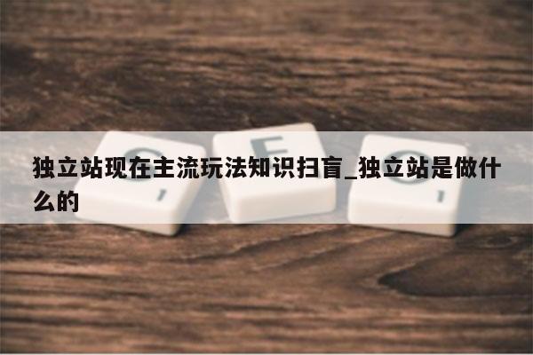 独立站现在主流玩法知识扫盲_独立站是做什么的