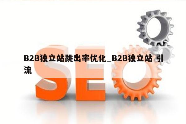 B2B独立站跳出率优化_B2B独立站 引流
