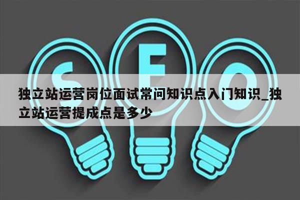 独立站运营岗位面试常问知识点入门知识_独立站运营提成点是多少