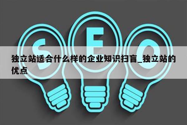 独立站适合什么样的企业知识扫盲_独立站的优点