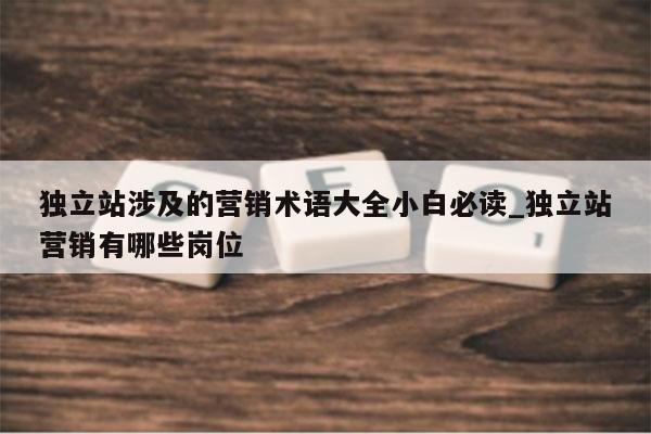 独立站涉及的营销术语大全小白必读_独立站营销有哪些岗位