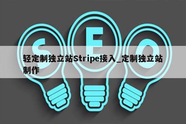 轻定制独立站Stripe接入_定制独立站制作